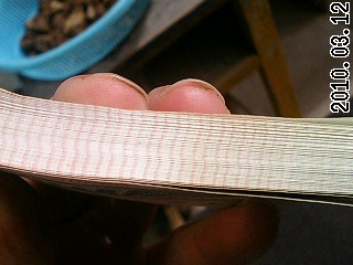 600_44382_e782aa4e4e933b6.jpg