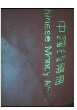 41_5205_69ea2065613b1cb.jpg