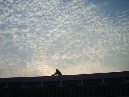 3_56617_2ef586aa813967c.jpg