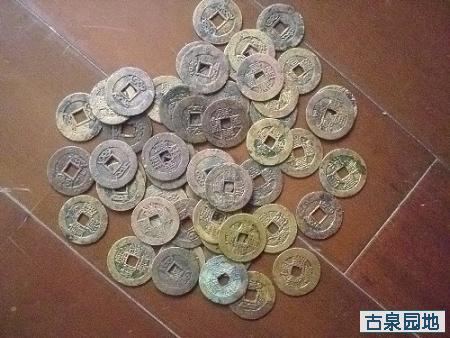 41_104256_8601c4b2ec37c37.jpg