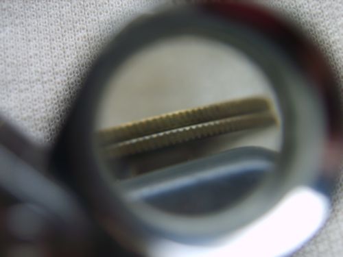 41_56617_9074655d80ac0d8.jpg