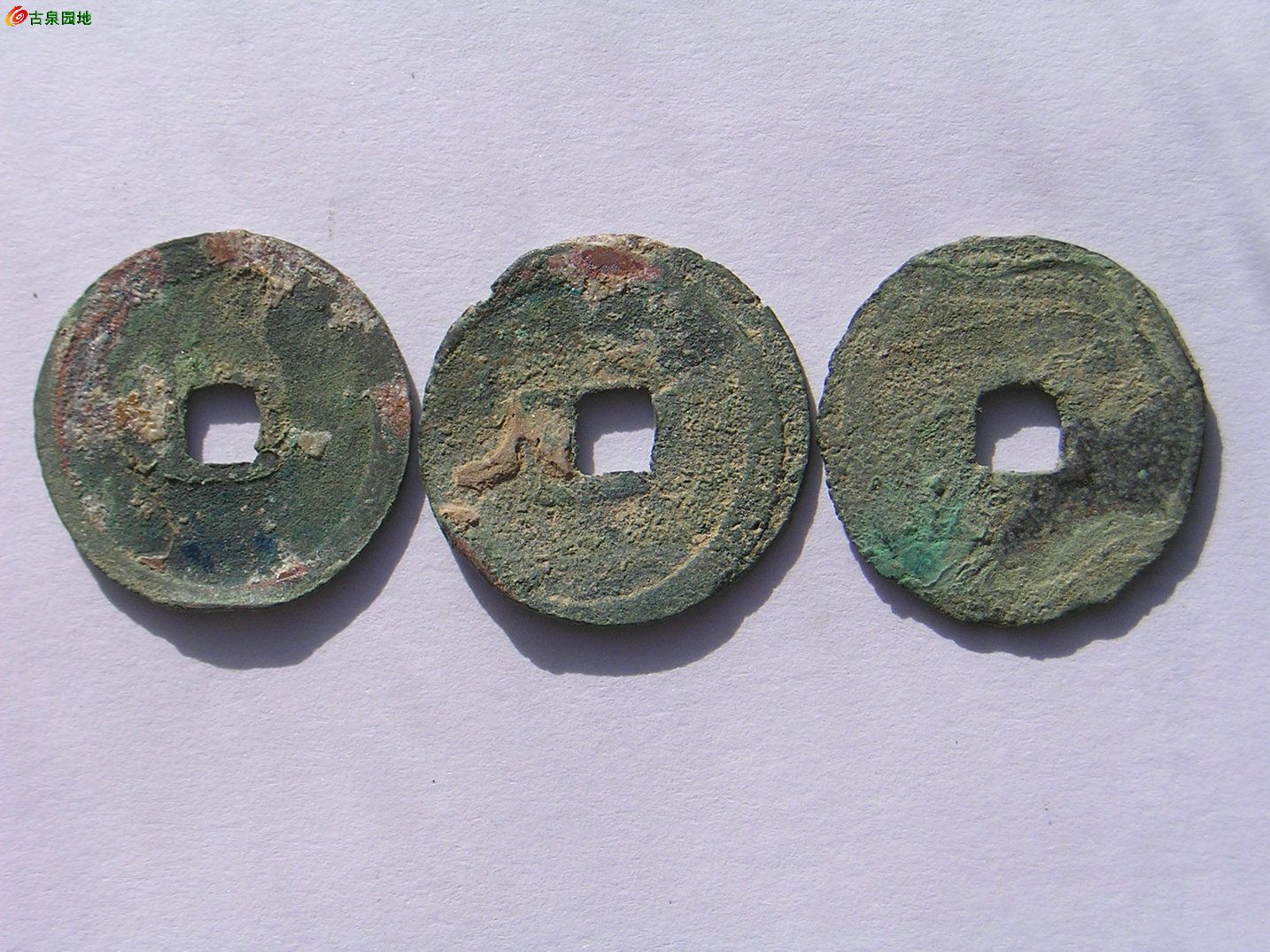 25_13469_421bf152f82fa06.jpg