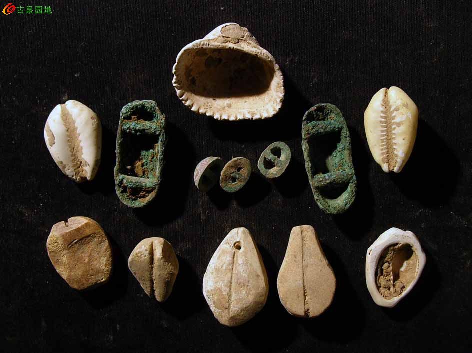 一组贝币(铜,石,骨,蚌等13枚) 