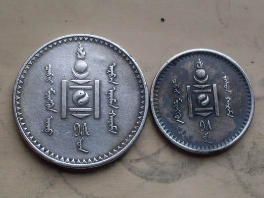 蒙古唐吉银币图片