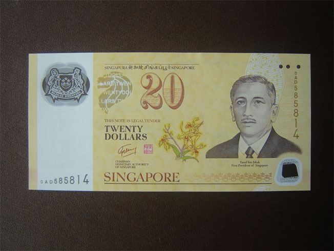 少见的新加坡朔料钞20元 