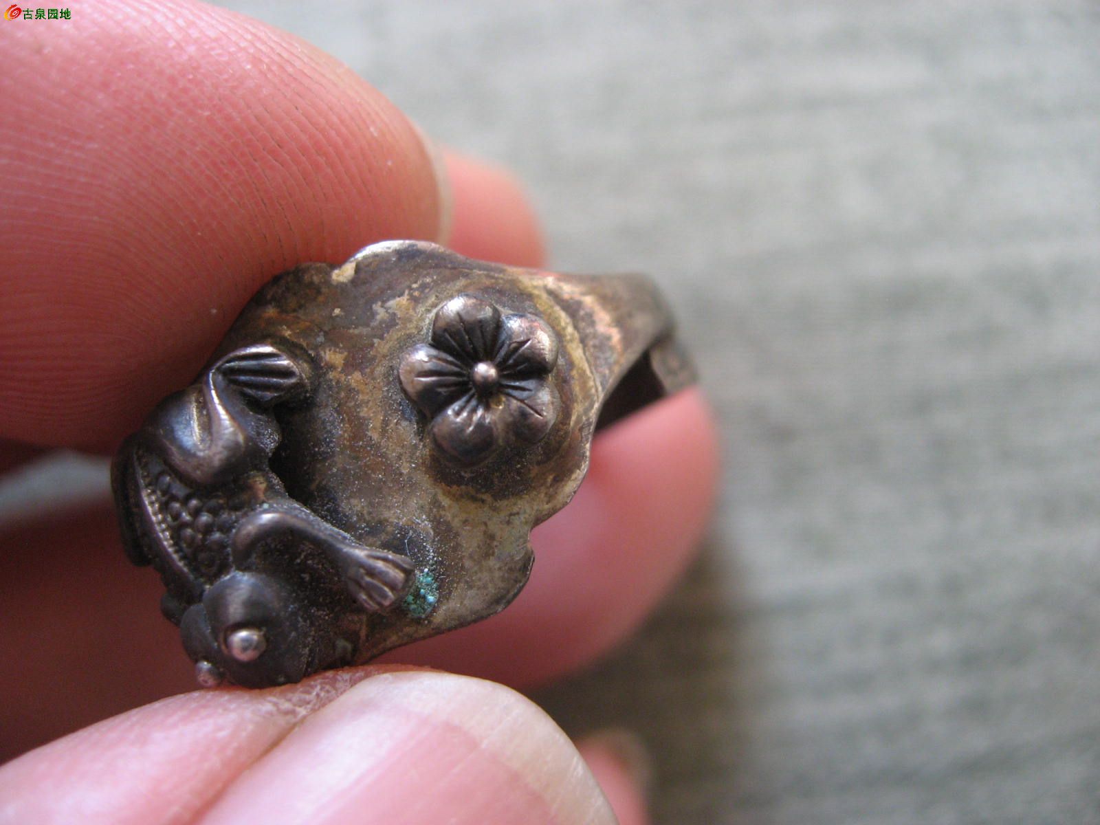 古代银戒指上带着青蛙图片