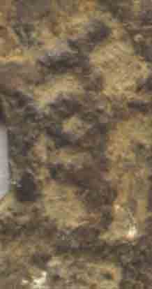 2002102212184763118.jpg